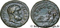 SEPTIME SÉVÈRE Assarion