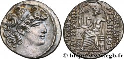 SYRIA - RÖMISCHE PROVINZ - GAIUS CASSIUS Tétradrachme syro-phénicien