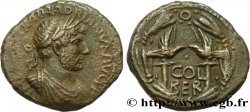 HADRIAN As