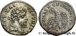 SEPTIMIUS SEVERUS Tétradrachme syro-phénicien