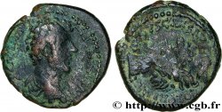 MARCUS AURELIUS Unité