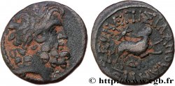 SIRIA, SELEUCIA Y PIERIA - ANTIOCHIA - AUGUSTO Bronze