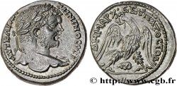 CARACALLA Tétradrachme syro-phénicien