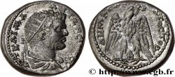 CARACALLA Tétradrachme syro-phénicien SPL