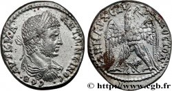 CARACALLA Tétradrachme syro-phénicien MS