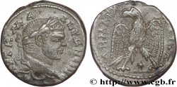 CARACALLA Tétradrachme syro-phénicien