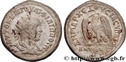 PHILIPPUS II Tétradrachme syro-phénicien