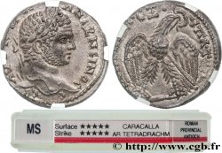 CARACALLA Tétradrachme syro-phénicien