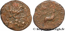 SYRIA, SELEUCIA und PIERIA - ANTIOCHIA - AUGUSTUS Bronze