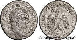 CARACALLA Tétradrachme syro-phénicien