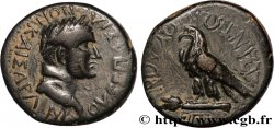VESPASIEN Assarion