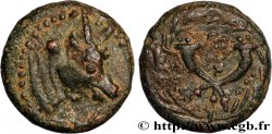 PALMYRA - PSEUDO-AUTONOMOUS ISSUE Bronze