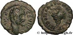 SEPTIMIUS SEVERUS Assarion