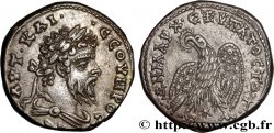 SEPTIMIUS SEVERUS Tétradrachme syro-phénicien