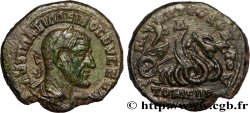 MAXIMINUS I Tetrassaria