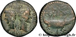 AUGUSTE et AGRIPPA Dupondius COL NEM (as) TTB