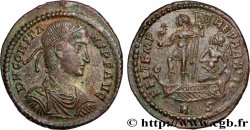 CONSTANS Maiorina