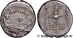 MARCO ANTONIO Denier MBC+