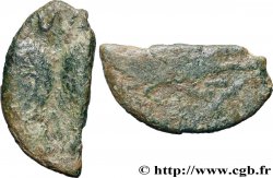 NEMAUSUS - NIMES - AUGUSTUS and AGRIPPA Dupondius COL NEM (as) - coupé
