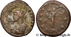 PROBUS Aurelianus