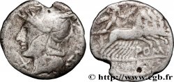 BAEBIA Denier
