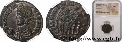 CONSTANS Maiorina