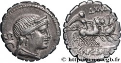 NAEVIA Denier serratus