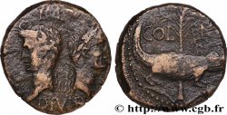 AUGUSTE et AGRIPPA Dupondius COL NEM (as)