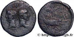 AUGUSTE et AGRIPPA Dupondius COL NEM (as) - Agrippa barbu
