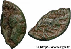 NEMAUSUS - NÎMES Dupondius COL NEM (as), coupé en deux