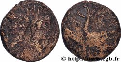 AUGUSTE et AGRIPPA Dupondius COL NEM (as)