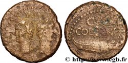 AUGUSTUS and AGRIPPA Dupondius COL NEM (as)