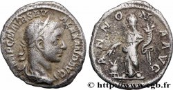 SEVERUS ALEXANDER  Denier