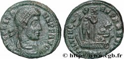 CONSTANS Demi-maiorina