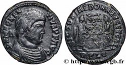 MAGNENTIUS Maiorina