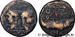 NEMAUSUS - NÎMES - AUGUSTE et AGRIPPA Dupondius COL NEM (as)