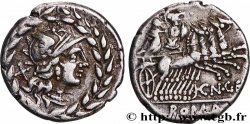 GELLIA Denier