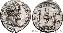 SEPTIMIUS SEVERUS Denier