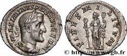 MAXIMINUS I Denier