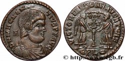 MAGNENTIUS Maiorina