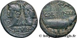 NEMAUSUS - NISMA - AUGUSTO e AGRIPPA Dupondius COL NEM (as)