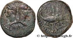 AUGUSTUS and AGRIPPA Dupondius COL NEM (as) - Agrippa barbu