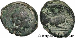 REPUBBLICA ROMANA - ANONIMO Double litra