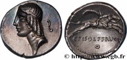 CALPURNIA Denier