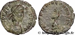 CONSTANS Demi-maiorina