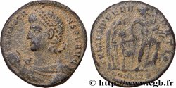 CONSTANS Maiorina