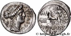 PLAUTIA Denier