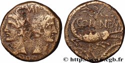 AUGUSTE et AGRIPPA Dupondius COL NEM (as) - Agrippa barbu