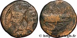 AUGUSTUS and AGRIPPA Dupondius