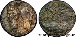 AUGUSTUS and AGRIPPA Dupondius COL NEM (as)